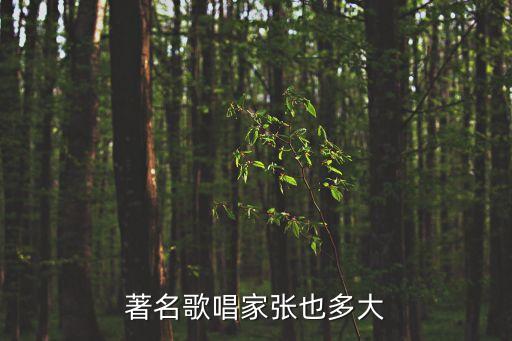 著名歌唱家張也多大