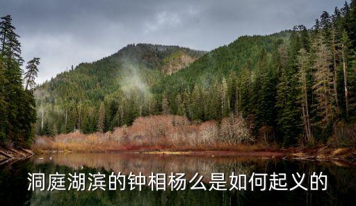 楊么，楊字是什么楊