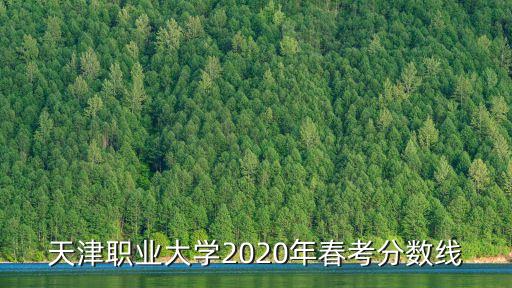 天津職業(yè)大學(xué)2020年春考分?jǐn)?shù)線