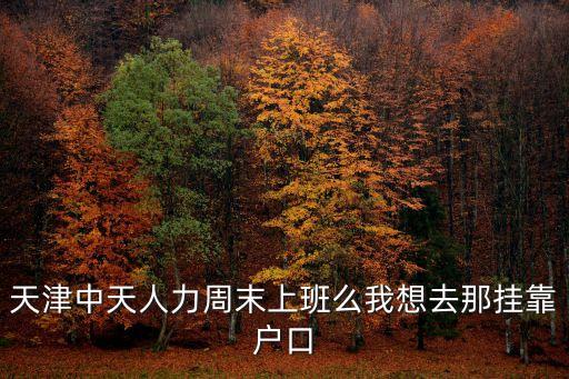天津中天人力周末上班么我想去那掛靠戶口