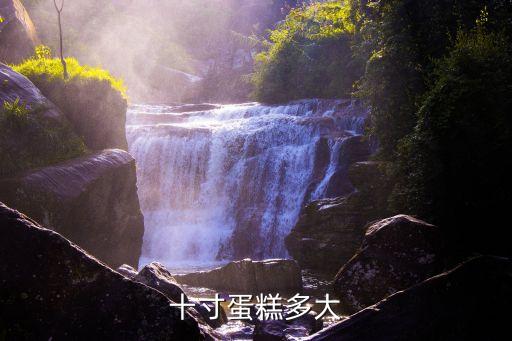 10寸蛋糕，十寸蛋糕多大