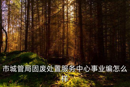 市城管局固廢處置服務(wù)中心事業(yè)編怎么樣
