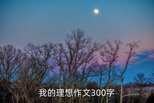 我的理想作文300字
