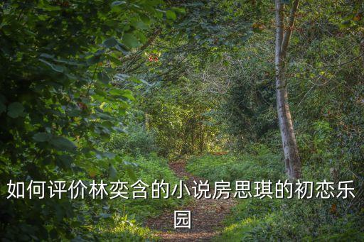 房思琪的初戀樂園，求房思琪的初戀樂園txt 在線等