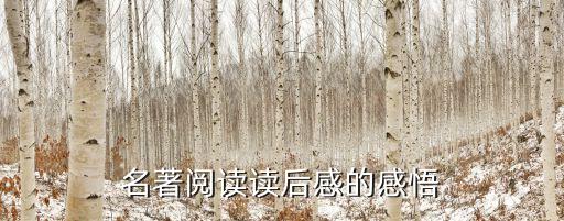 經(jīng)典書籍讀后感，有哪些著名書的讀后感