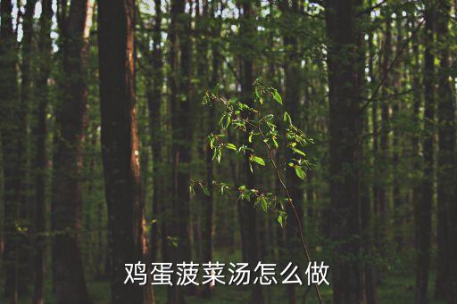 雞蛋菠菜湯的做法，湯類特色菜菠菜雞蛋湯怎么做