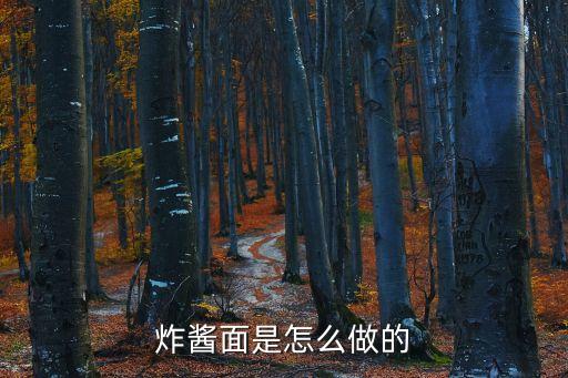 炸醬面的制作方法，炸醬面的做法