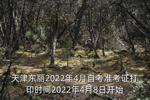 天津東麗2022年4月自考準考證打印時間2022年4月8日開始