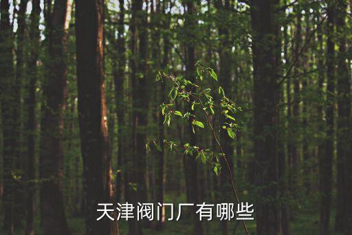 天津市伯萊斯閥門有限公司，天津104分配閥生產廠家地址