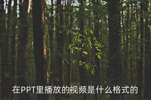 在PPT里播放的視頻是什么格式的
