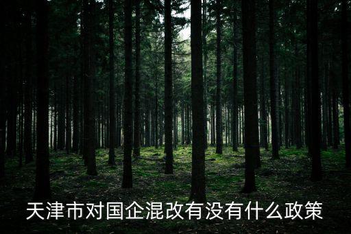 天津市國資混改準新消息，天津市對國企混改有沒有什么政策