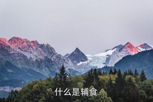 什么是輔食