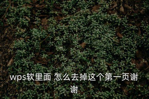wps刪除一頁，WPSWord能把某1頁刪除