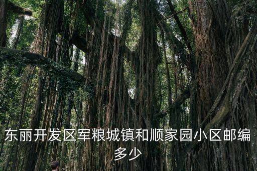 東麗開(kāi)發(fā)區(qū)軍糧城鎮(zhèn)和順家園小區(qū)郵編多少