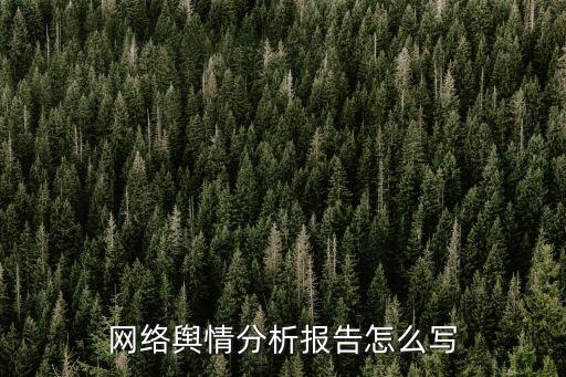 網絡輿情分析報告怎么寫