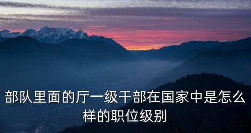 部隊里面的廳一級干部在國家中是怎么樣的職位級別