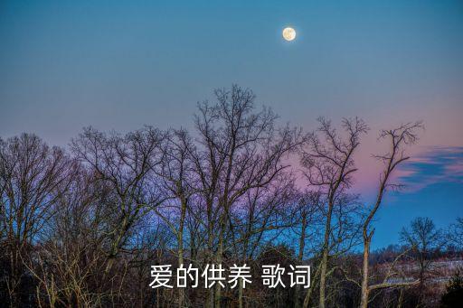 愛的供養 歌詞