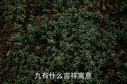 關(guān)于九的吉祥寓意，九有什么吉祥寓意