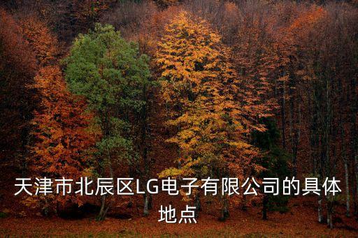 天津市北辰區LG電子有限公司的具體地點