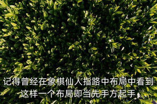 記得曾經在象棋仙人指路中布局中看到這樣一個布局即當先手方起手