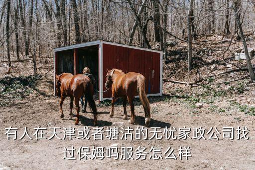有人在天津或者塘沽的無(wú)憂家政公司找過(guò)保姆嗎服務(wù)怎么樣