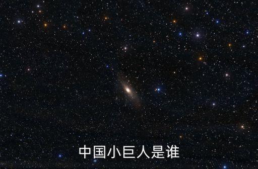 中國小巨人是誰
