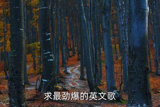 勁爆英文歌曲，有什么勁爆的英文歌