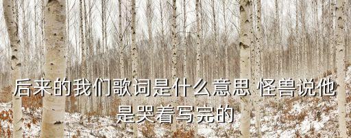 以后的我們，梁靜茹有一首歌里面有一句從前的我們后來的我們是什