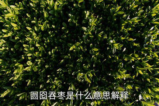 囫圇吞棗是什么意思解釋