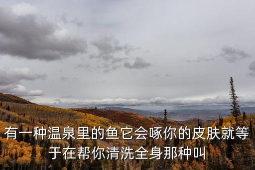 有一種溫泉里的魚它會(huì)啄你的皮膚就等于在幫你清洗全身那種叫