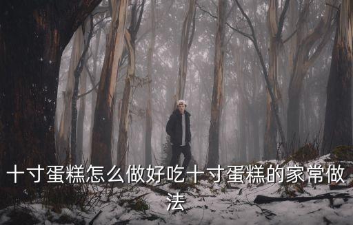十寸蛋糕怎么做好吃十寸蛋糕的家常做法
