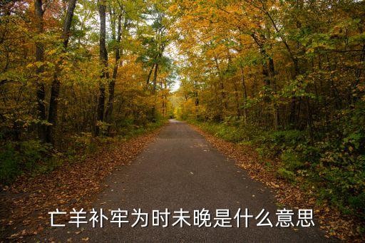 亡羊補牢為時未晚是什么意思