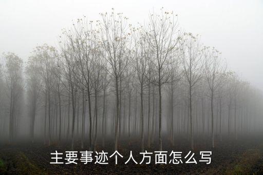 主要事跡個人方面怎么寫