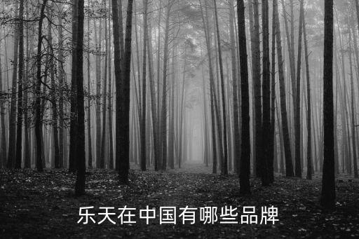 樂天在中國(guó)有哪些品牌