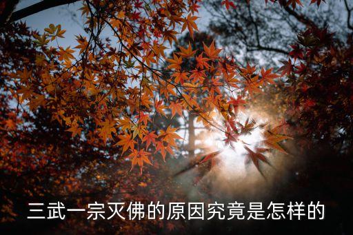 三武一宗滅佛的原因究竟是怎樣的