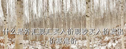 什么是外匯現匯買入價現鈔買入價賣出價基準價