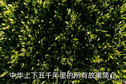 中華上下五千年里的所有故事簡(jiǎn)介