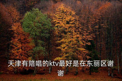 天津有陪唱的ktv最好是在東麗區(qū)謝謝