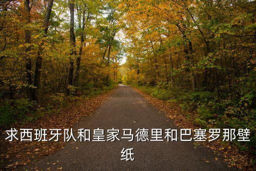 求西班牙隊和皇家馬德里和巴塞羅那壁紙
