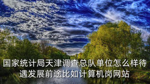 國家統計局天津調查總隊單位怎么樣待遇發展前途比如計算機崗網站