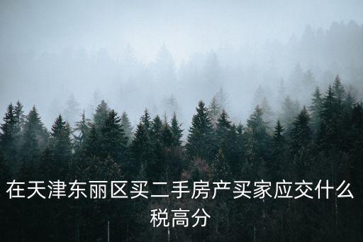 在天津東麗區買二手房產買家應交什么稅高分