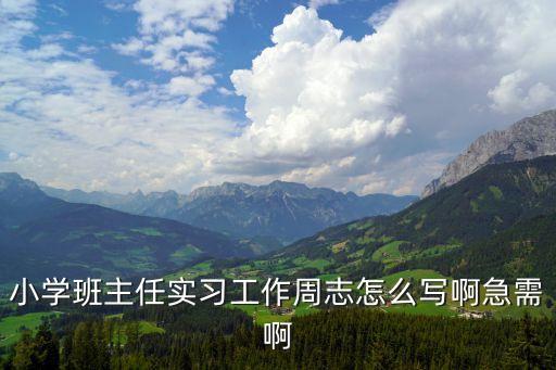 小學班主任實習工作周志怎么寫啊急需啊