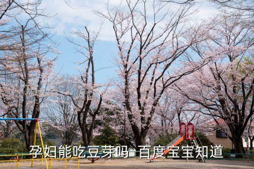 孕婦能吃豆芽嗎  百度寶寶知道