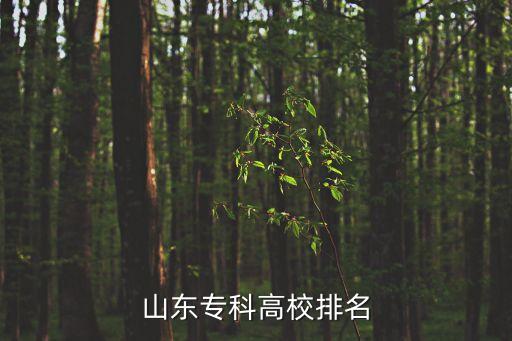 山東專科高校排名