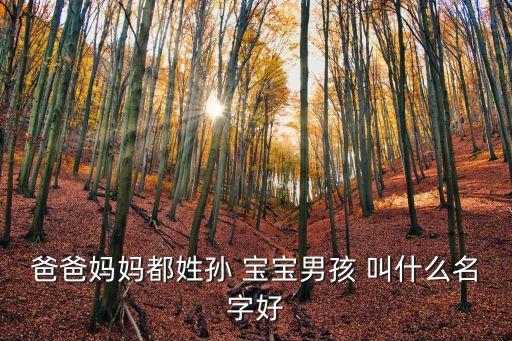 爸爸媽媽都姓孫 寶寶男孩 叫什么名字好