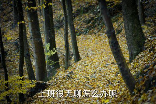 上班很無(wú)聊怎么辦呢