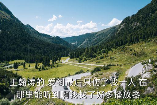 王翰濤，王翰濤的 愛到最后只傷了我一人 在那里能聽到啊我找了好多播放器