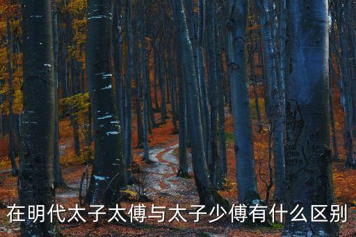 在明代太子太傅與太子少傅有什么區別