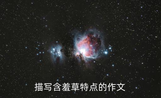 描寫含羞草特點的作文