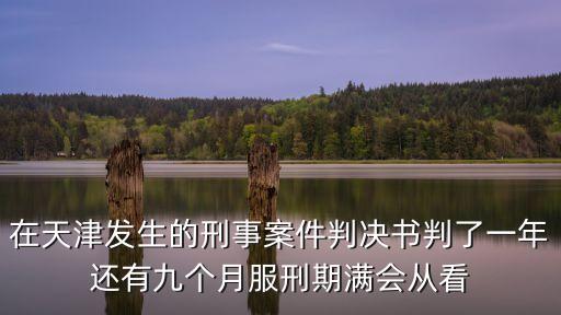 在天津發生的刑事案件判決書判了一年還有九個月服刑期滿會從看